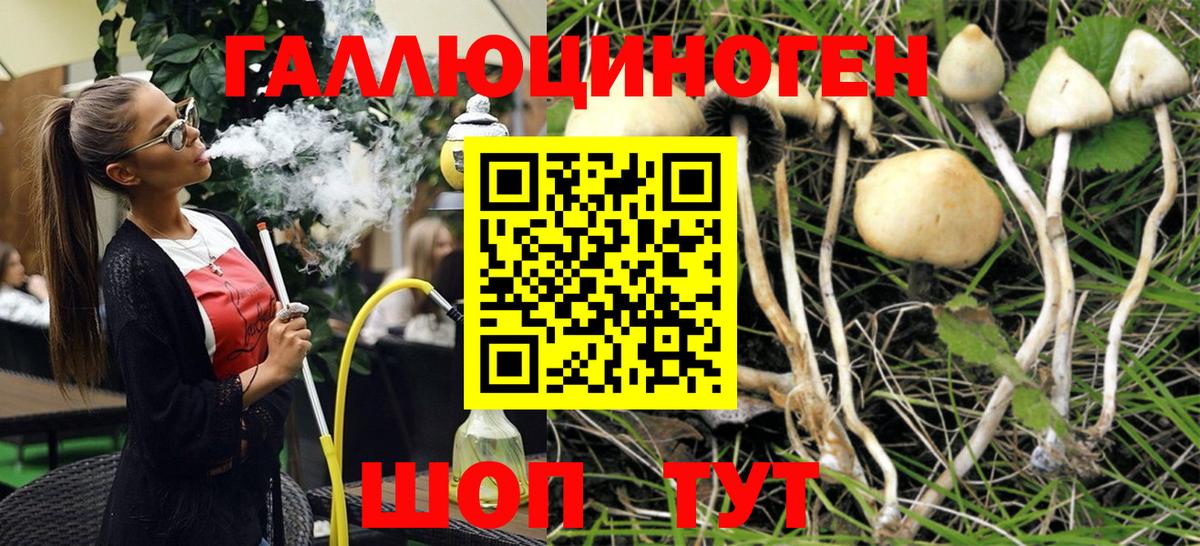 Псилоцибиновые грибы мицелий Орехово-Зуево
